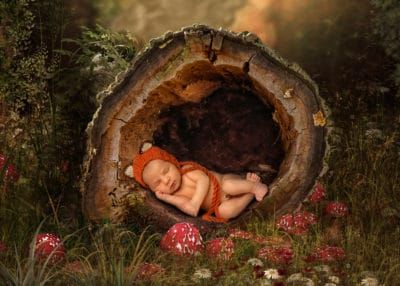 The Newborn Care Solutions Agency - Professional NCS and Postpartum Doula services