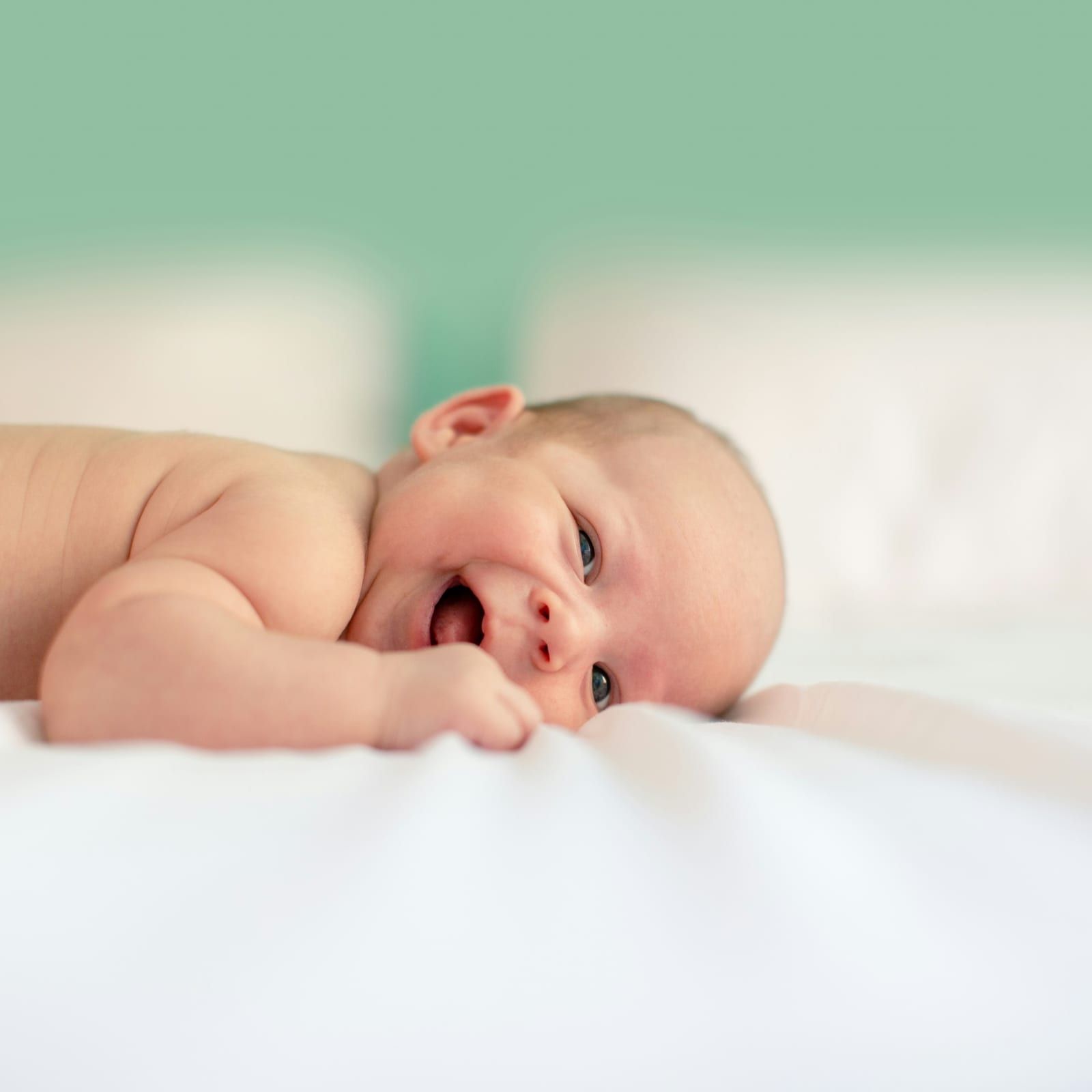 The Newborn Care Solutions Agency