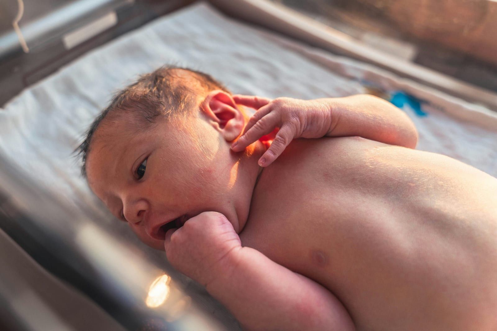 Jimmy Conover Iahsw44 Nee - Newborn Care