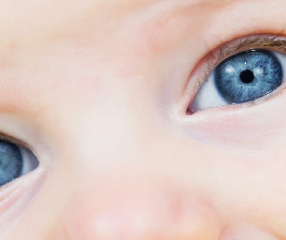 Ontra (14) - Newborn Care